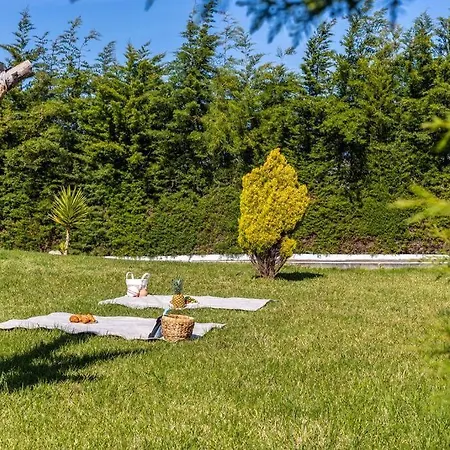 Coral - Private Large Pool & Garden *