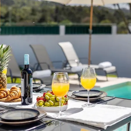 Coral - Private Large Pool & Garden Famalicao