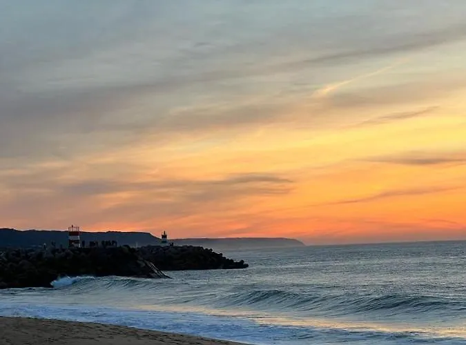 Coral - Private Large Pool & Garden Willa *