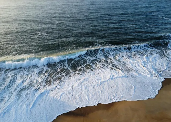 Willa Coral - Private Large Pool & Garden *